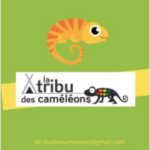 Logo client 13